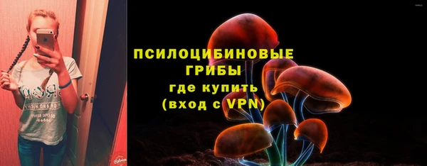меф Белокуриха