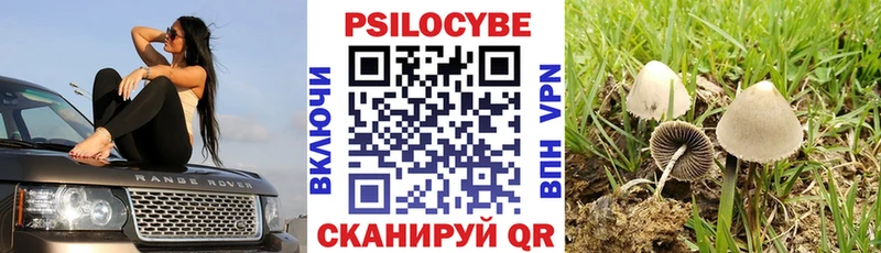 Псилоцибиновые грибы мицелий  Томари 